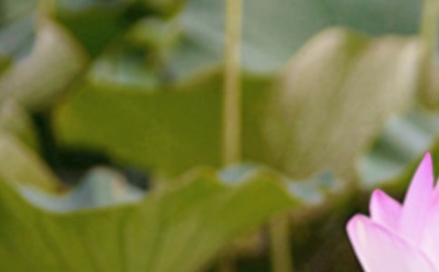 �������̆�����ӣ����x330�䣩