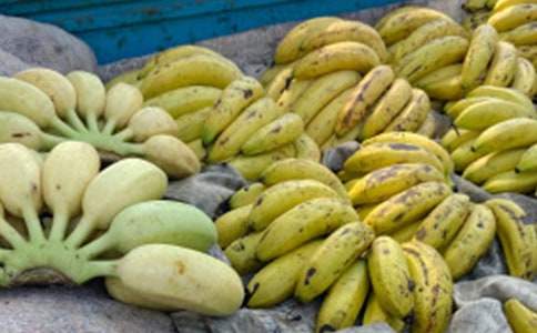 ���꼉(j��)�㽶����300���\��5ƪ