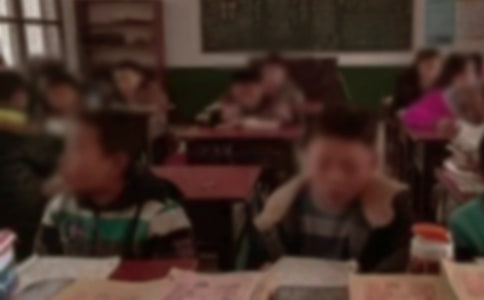 美麗的鄉(xiāng)村小學(xué)作文550字