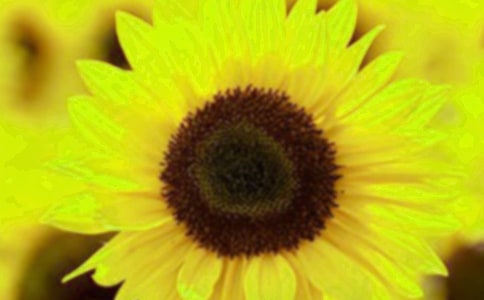 �����տ������g���p��ӷ���