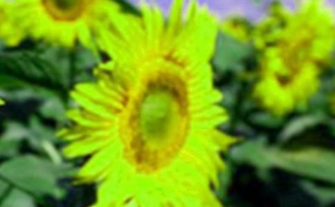 �茑(xi��)���տ��ľ���180��