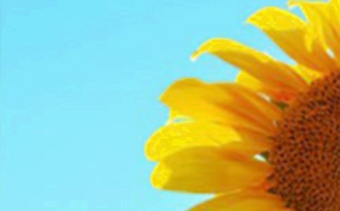 �茑(xi��)���տ��ă�(y��u)�����ӣ����x50�䣩