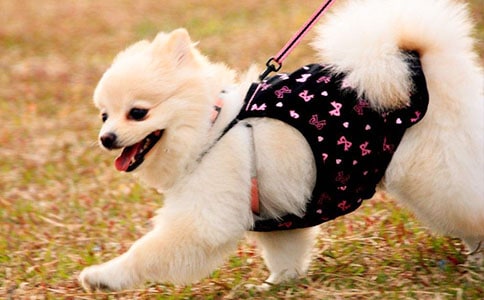 ���IС����С�������f(shu��)�n��