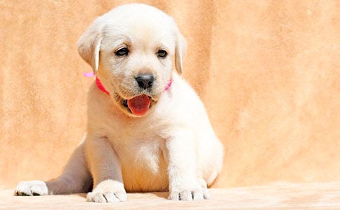 ��С���A�������̌W(xu��)��˼