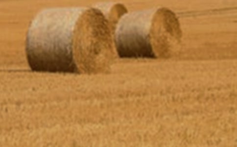 һ�wС���������꼉����