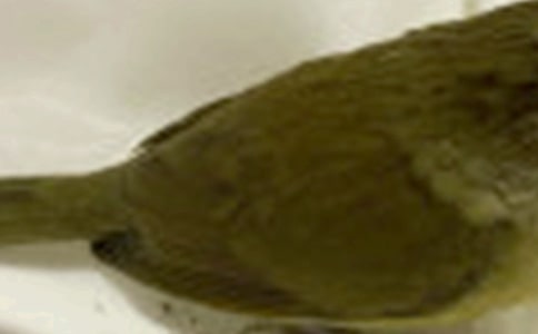 ��ŭ��С�B�������꼉(j��)����400��