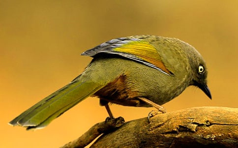 ���oС�B���������Z�����x170�l��