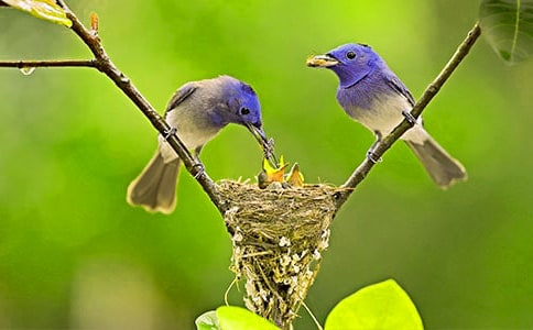 �P(gu��n)��С�B����500�ֺϼ���ƪ