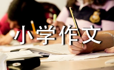 描寫小鯽魚的小學作文300字