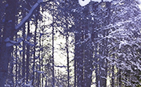 ���PСѩ��(ji��)���Ԋ��