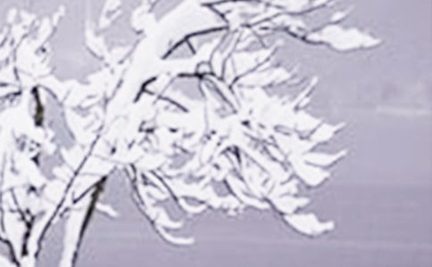 �׃��@Сѩ��(ji��)��������ώ������vԒ�巶�ģ����x15ƪ��