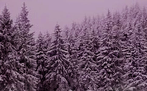 ����24��(ji��)��Сѩ��ӷ�������