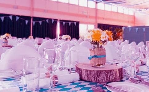 �»�c�����o���]��