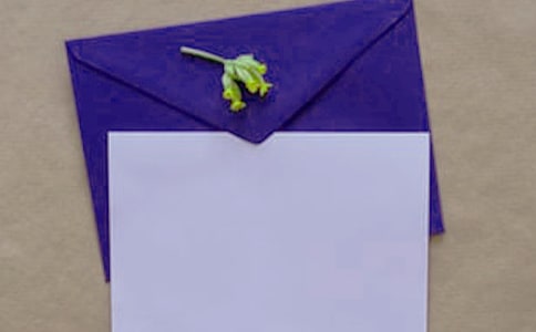 �P(gu��n)�ڸ��x�ŵ��ŷ�