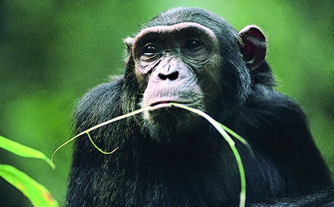 �옷�����Ʉ�־���¶���