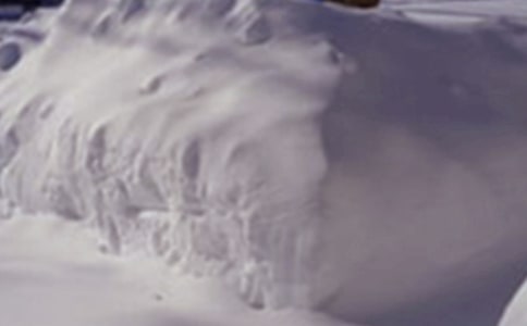 2021��ѩ��(z��i)��ȫ��(y��ng)���A(y��)��