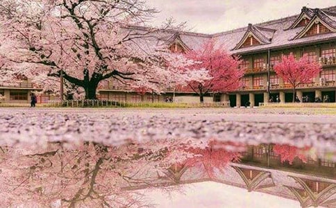 ����ѻ������B����