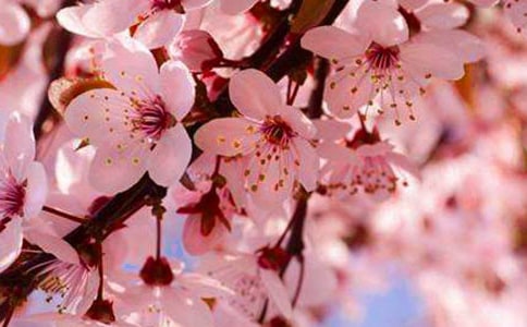 �ѻ���Ԋ��