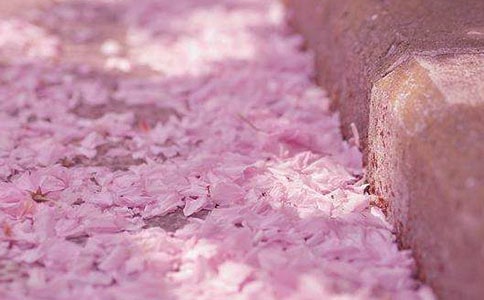 ����(l��i)��(m��ng)����ѻ�����ɢ��