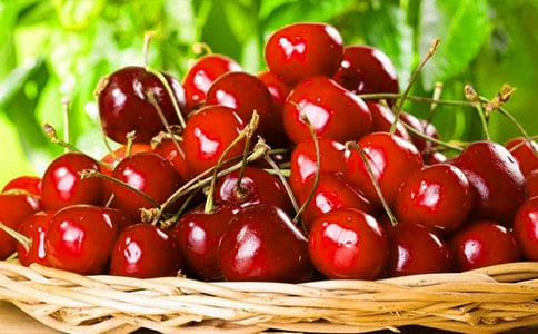 �ͽo����99�w�t�������꼉(j��)��(y��u)������