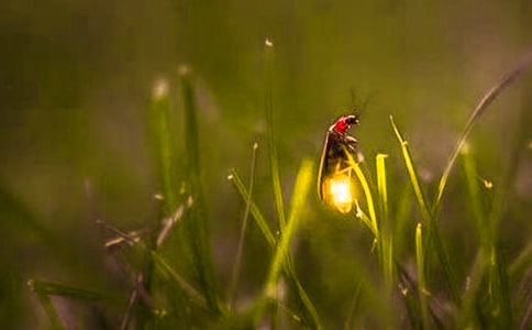 ��ҊΞ���x��(j��ng)��ɢ��