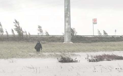 ���＼�g�����Ŀ������K����淶�ģ����x10ƪ��