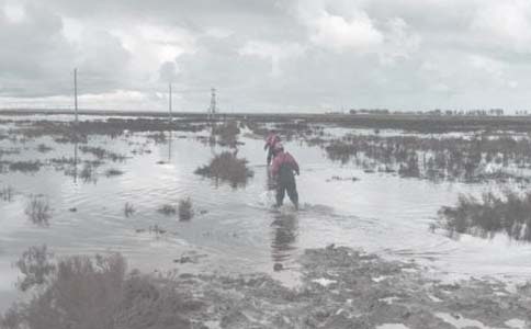 油田服務項目經理年終述職報告(精選13篇)
