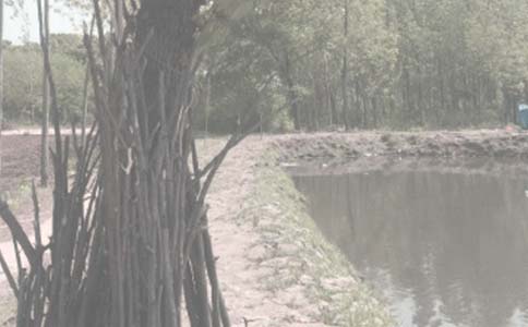 �а��~����ͬ15ƪ