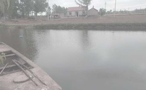 �r(n��ng)�����~(y��)���а���ͬ6ƪ