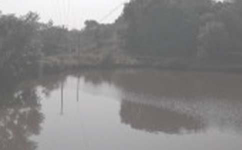 �~���D(zhu��n)�����κ�ͬ���������x5ƪ��