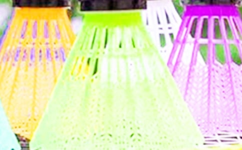 我學(xué)會了打羽毛球敘事作文