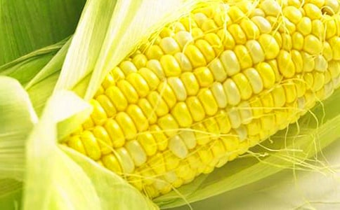 ����ُ�N�����f(xi��)�h��13ƪ