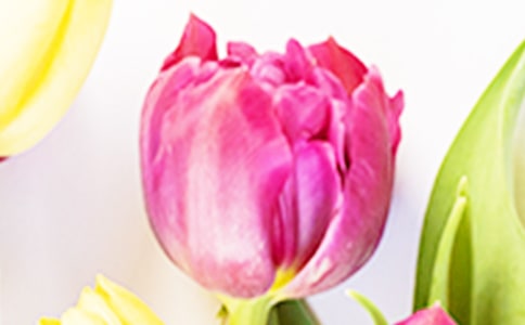 ���������С�W(xu��)����