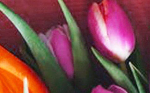 �����㻨��С�W(xu��)���꼉(j��)����