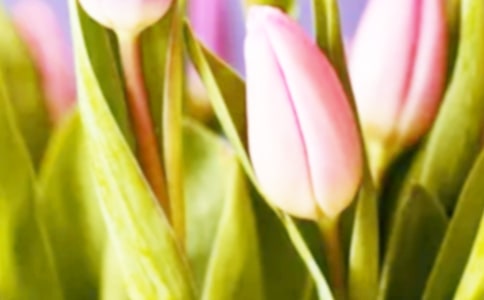 ���������꼉����8ƪ