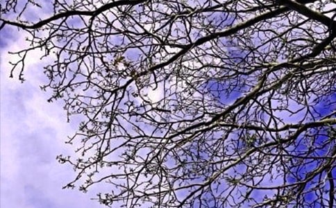 ���õ��簲�����������Ȧժ�69��