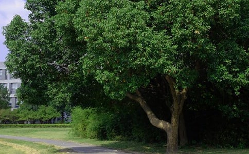 ����(sh��)�á�����ϵ�簲���Z����Ȧ���\54��