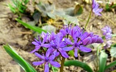 2022�곣�Ã�(y��u)�����簲���Z����Ȧ����33�l