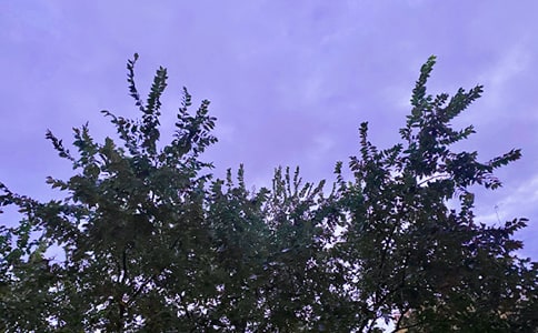 �簲�������̾���