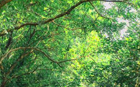 ͨ�Ü�ܰ���簲���Z����Ȧ�\��30�l