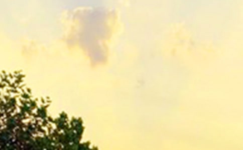 2021�꺆�̵�ÿ��һ���簲���Z����Ȧ�ϼ�36��