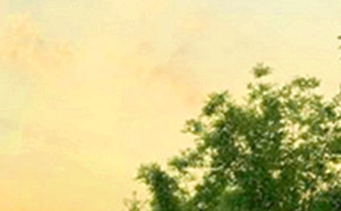 2022�곣�Ä��˵��簲����Ȧ�����Z28��