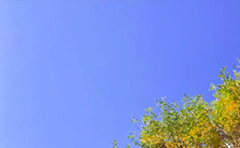 2021��ͨ�Ä��˵��簲���Z����Ȧ54�l