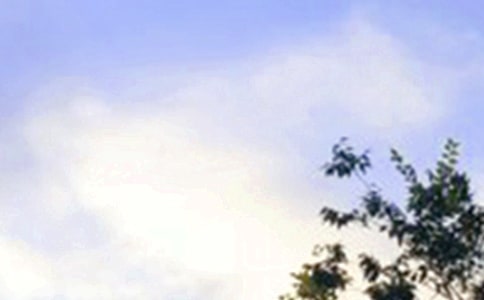 2021�꺆�����°��簲���Z����Ȧ51��