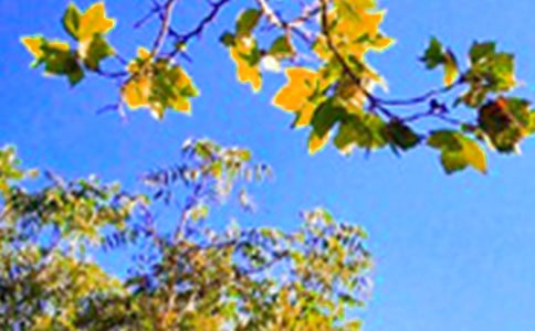 2021�����P(gu��n)�m�Ͻo���ѵ��簲����Ȧ�����Z24��