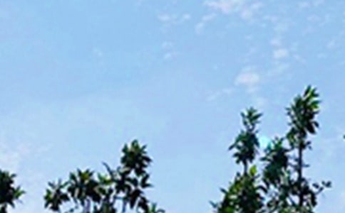 ����(sh��)�á��簲��������Z䛺ϼ�49�l