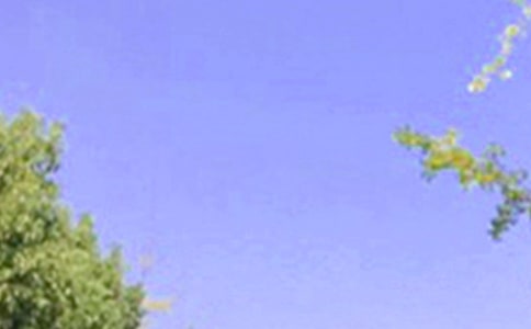 2021�����P(gu��n)���õ��簲���Z����Ȧ�󼯺�55��