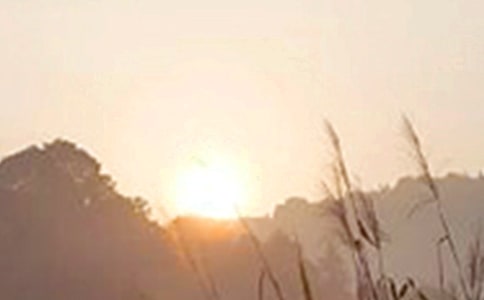 2021�꽛(j��ng)���°��簲����Ȧ�����Z23�l