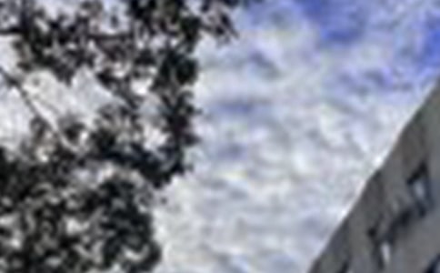 2022�곣�Ä�(d��ng)�˵��簲���Z����Ȧ�R��36��