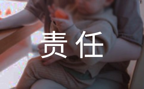 安全責(zé)任的承諾書(精選5篇)